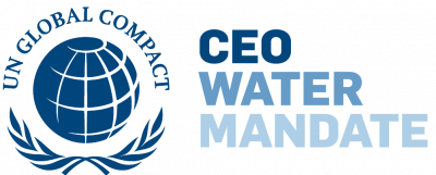 CEO logo